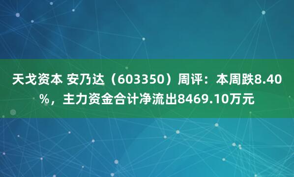 天戈资本 安乃达（603350）周评：本周跌8.40%，主力资金合计净流出8469.10万元