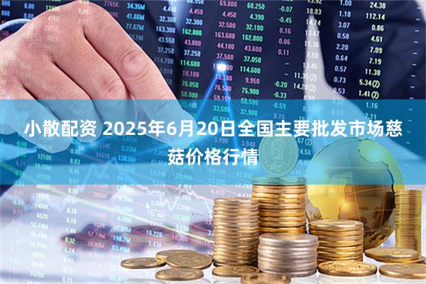 小散配资 2025年6月20日全国主要批发市场慈菇价格行情