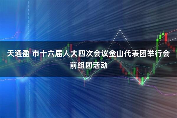 天通盈 市十六届人大四次会议金山代表团举行会前组团活动