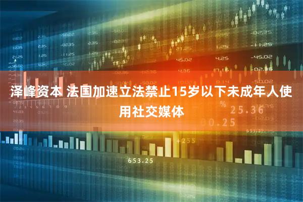 泽峰资本 法国加速立法禁止15岁以下未成年人使用社交媒体
