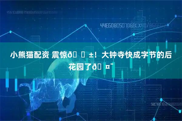 小熊猫配资 震惊😱！大钟寺快成字节的后花园了🤯