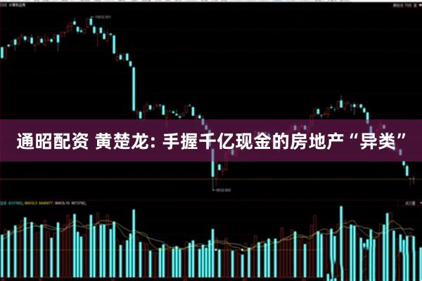 通昭配资 黄楚龙: 手握千亿现金的房地产“异类”