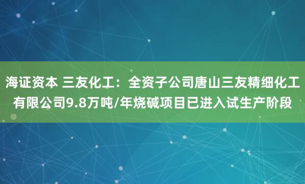 海证资本 三友化工：全资子公司唐山三友精细化工有限公司9.8万吨/年烧碱项目已进入试生产阶段