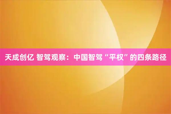 天成创亿 智驾观察：中国智驾“平权”的四条路径