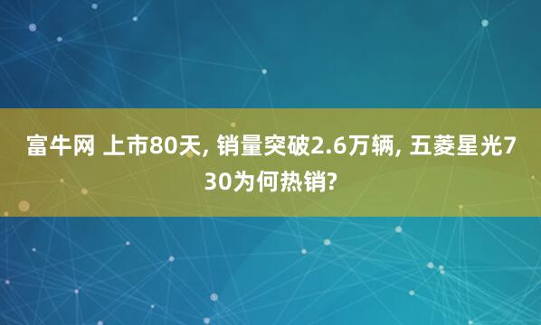 富牛网 上市80天, 销量突破2.6万辆, 五菱星光730为何热销?