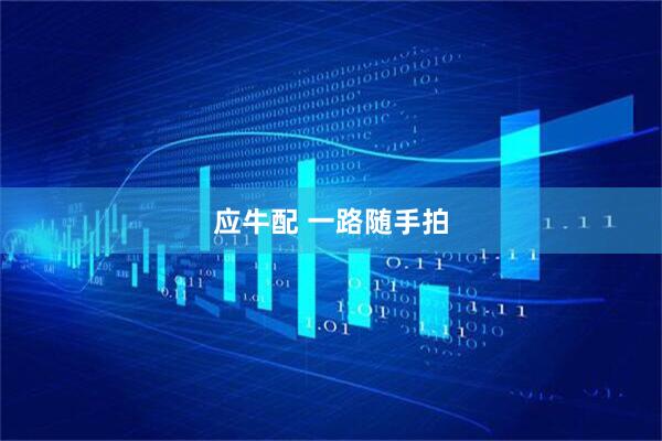 应牛配 一路随手拍