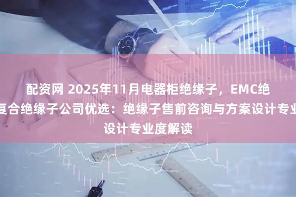 配资网 2025年11月电器柜绝缘子，EMC绝缘子，复合绝缘子公司优选：绝缘子售前咨询与方案设计专业度解读