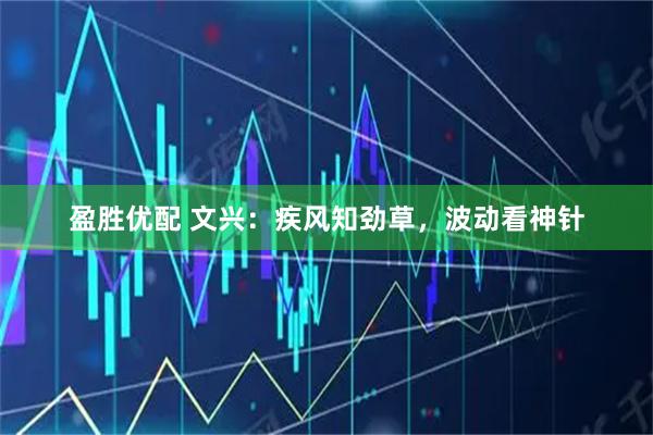 盈胜优配 文兴：疾风知劲草，波动看神针