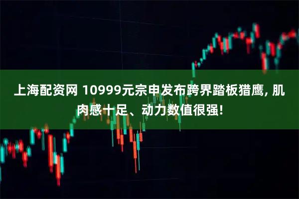 上海配资网 10999元宗申发布跨界踏板猎鹰, 肌肉感十足、动力数值很强!
