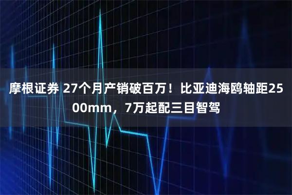 摩根证券 27个月产销破百万！比亚迪海鸥轴距2500mm，7万起配三目智驾