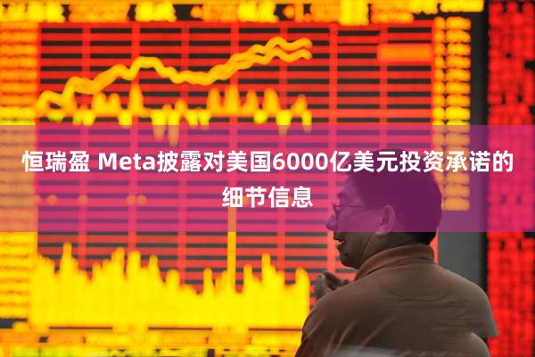 恒瑞盈 Meta披露对美国6000亿美元投资承诺的细节信息