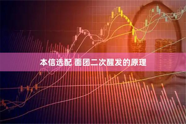 本信选配 面团二次醒发的原理