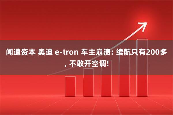 闻道资本 奥迪 e-tron 车主崩溃: 续航只有200多, 不敢开空调!