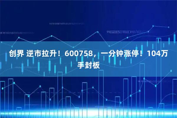 创界 逆市拉升！600758，一分钟涨停！104万手封板