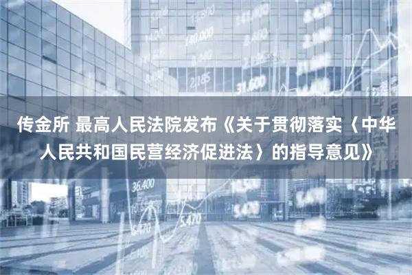 传金所 最高人民法院发布《关于贯彻落实〈中华人民共和国民营经济促进法〉的指导意见》