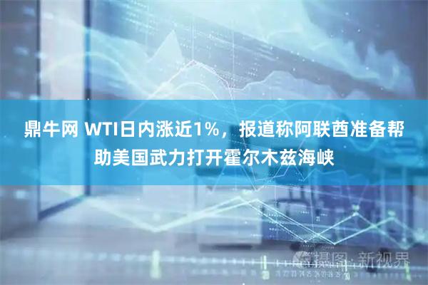 鼎牛网 WTI日内涨近1%，报道称阿联酋准备帮助美国武力打开霍尔木兹海峡