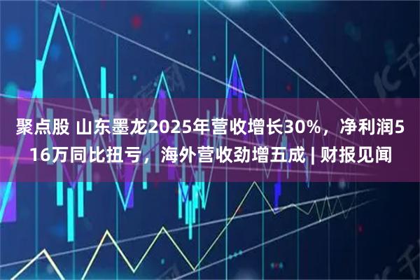 聚点股 山东墨龙2025年营收增长30%，净利润516万同比扭亏，海外营收劲增五成 | 财报见闻