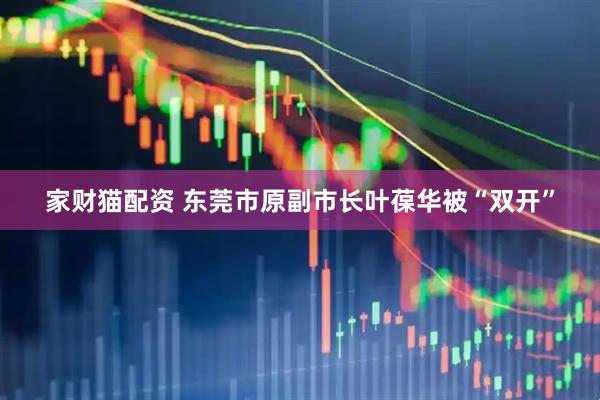 家财猫配资 东莞市原副市长叶葆华被“双开”